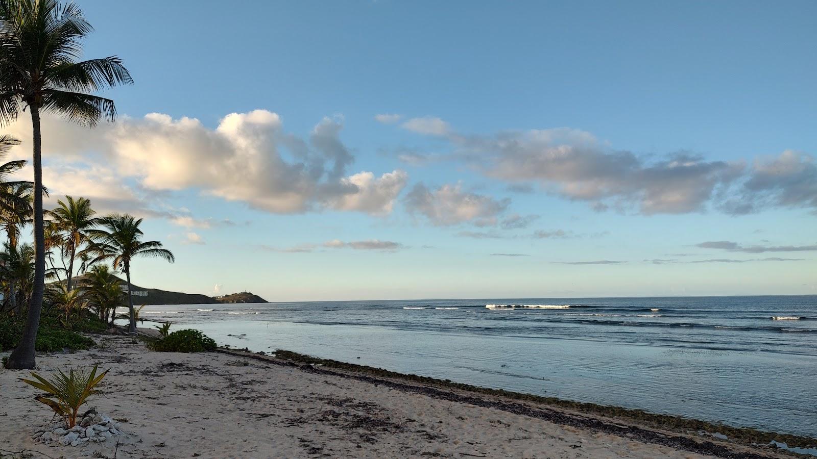 Sandee Pelican Cove Photo