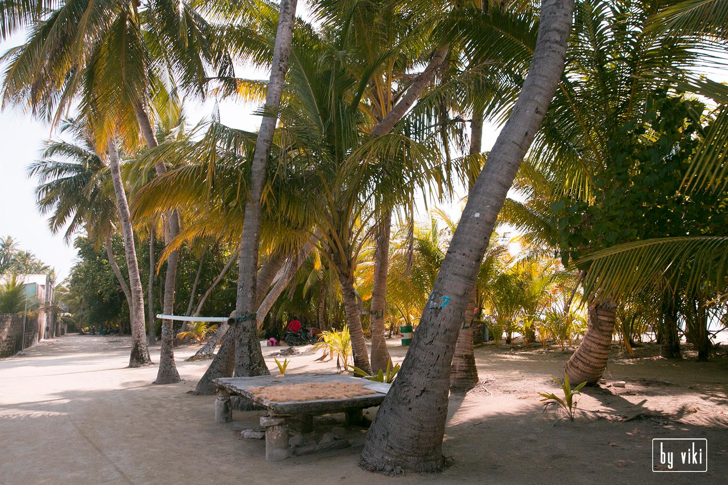 Sandee Naalaafushi