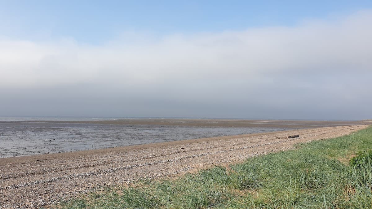 Sandee Fisherrow Sands Photo