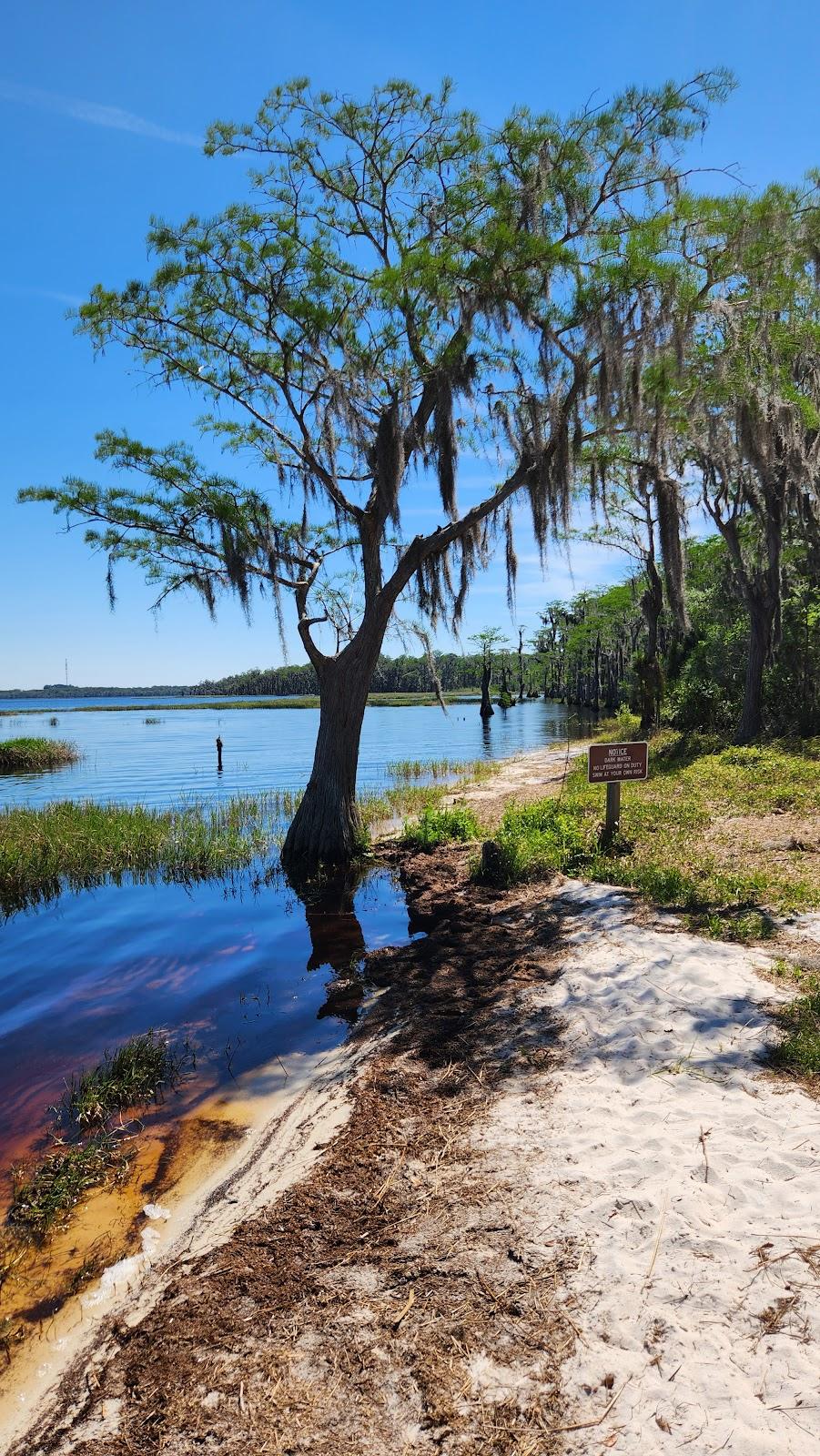 Sandee - Lake Louisa State Park Beach