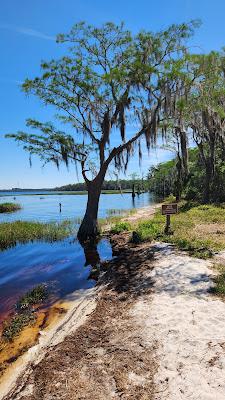 Sandee - Lake Louisa State Park Beach