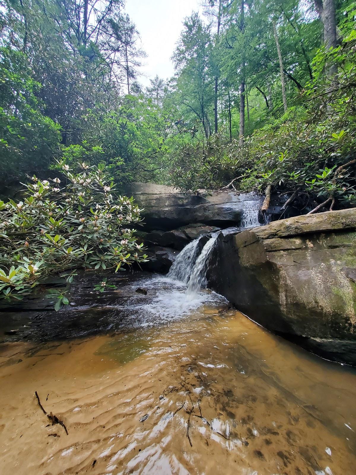 Sandee - Keowee Toxaway State Park