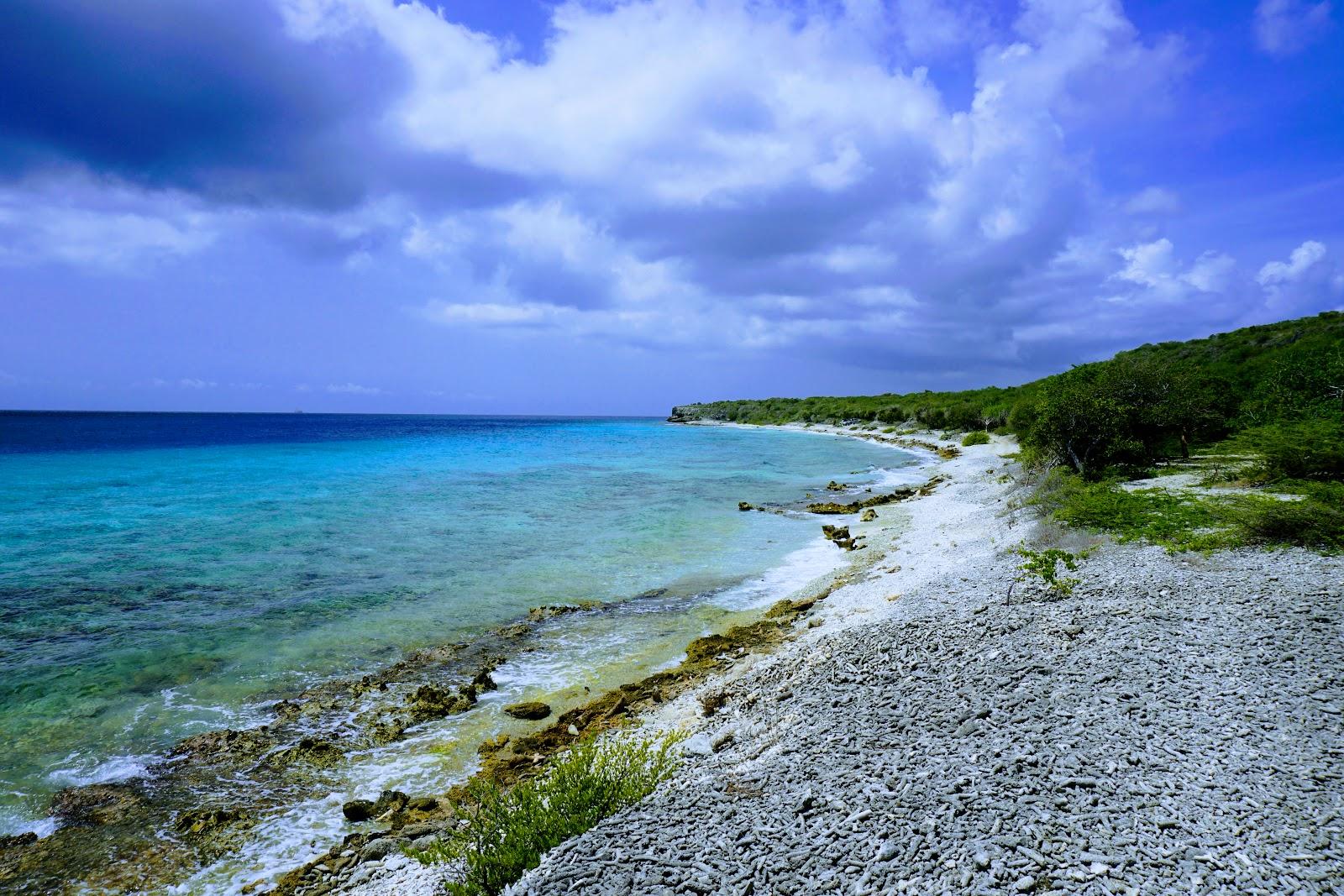 Sandee Playa Largu Photo