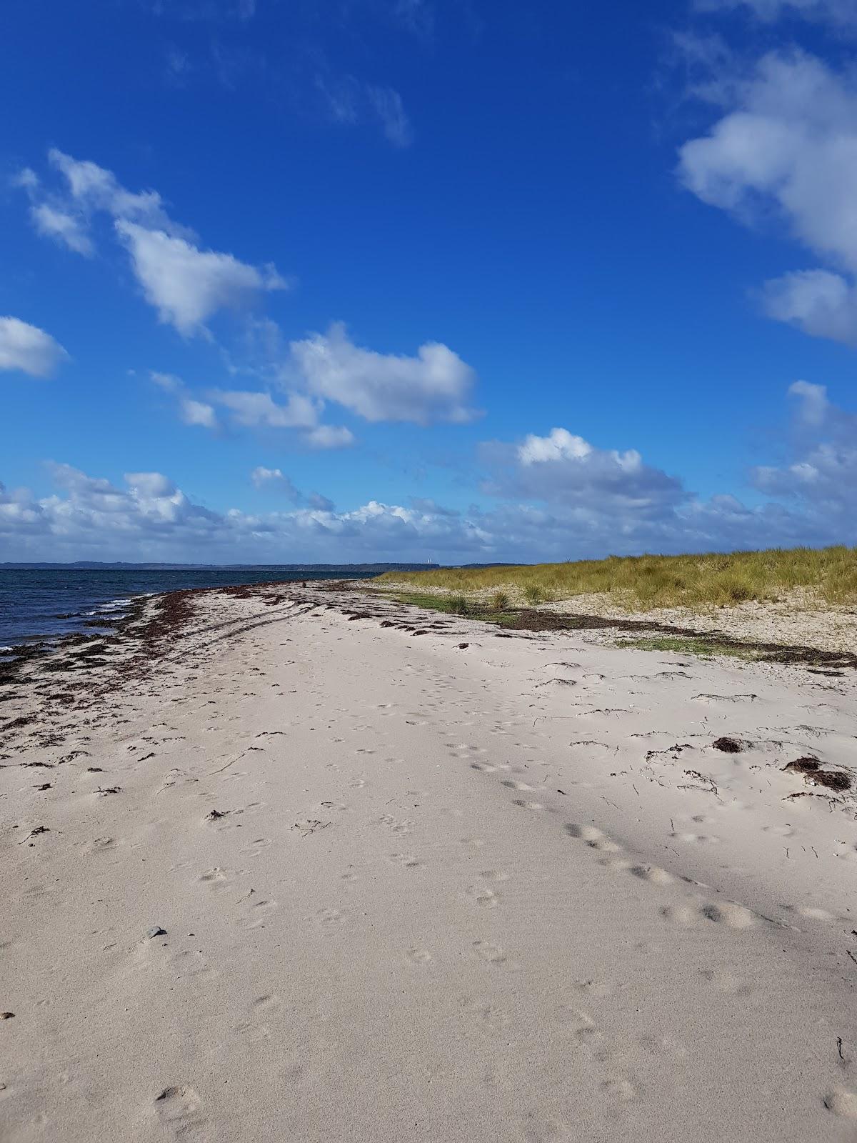 Sandee - Halk Hoved Strand