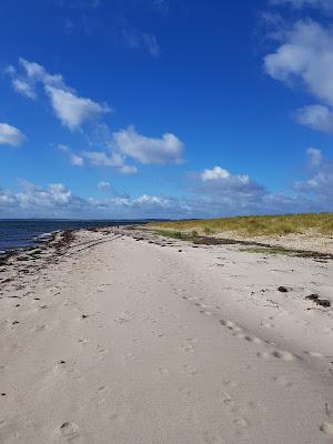 Sandee - Halk Hoved Strand