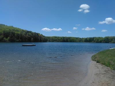 Sandee - Cunningham Pond Beach