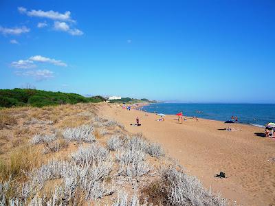 Sandee - Spiaggia La Pineta