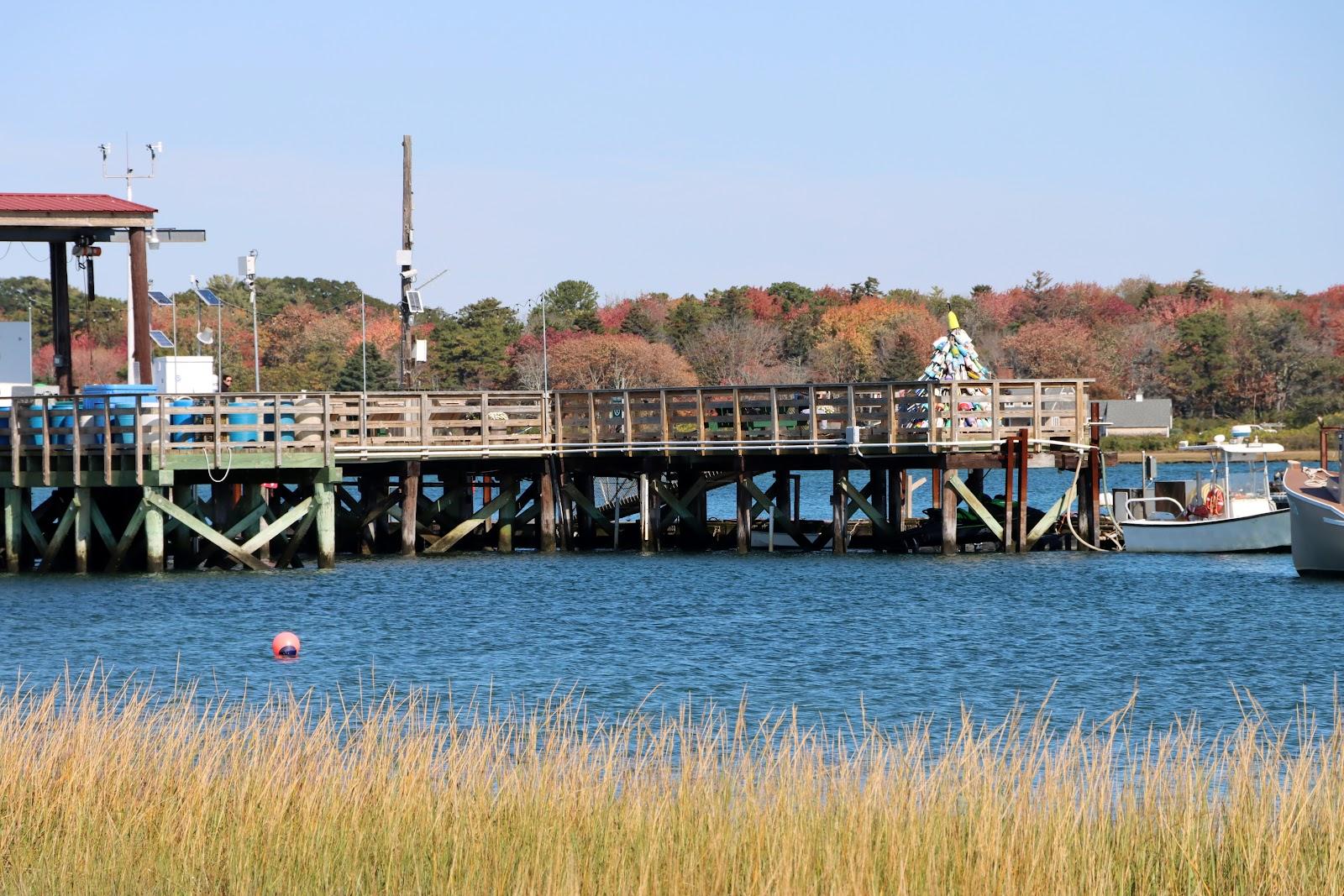 Sandee - Wells Harbor