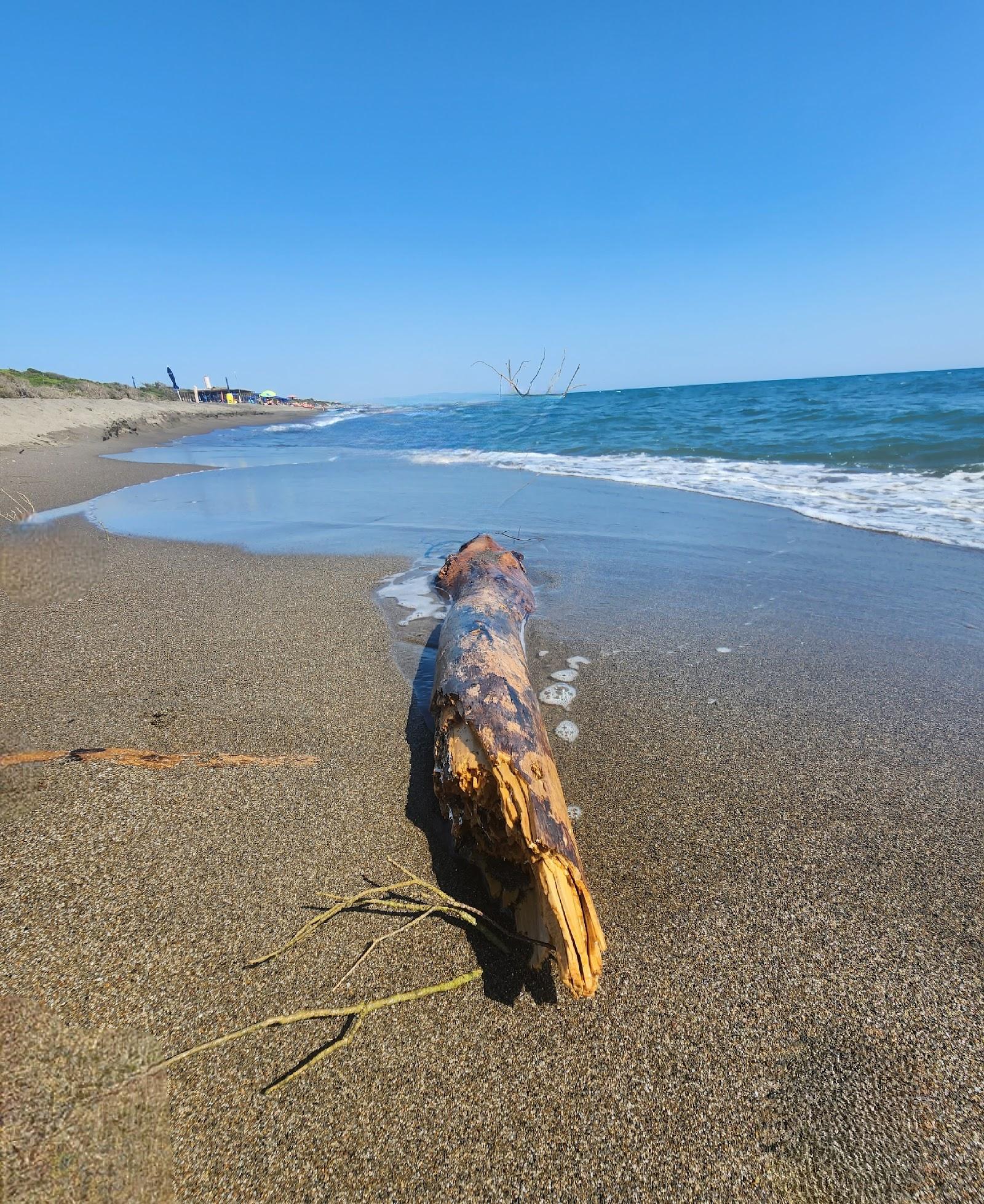 Sandee The Pineta Blue Dog Beach Photo