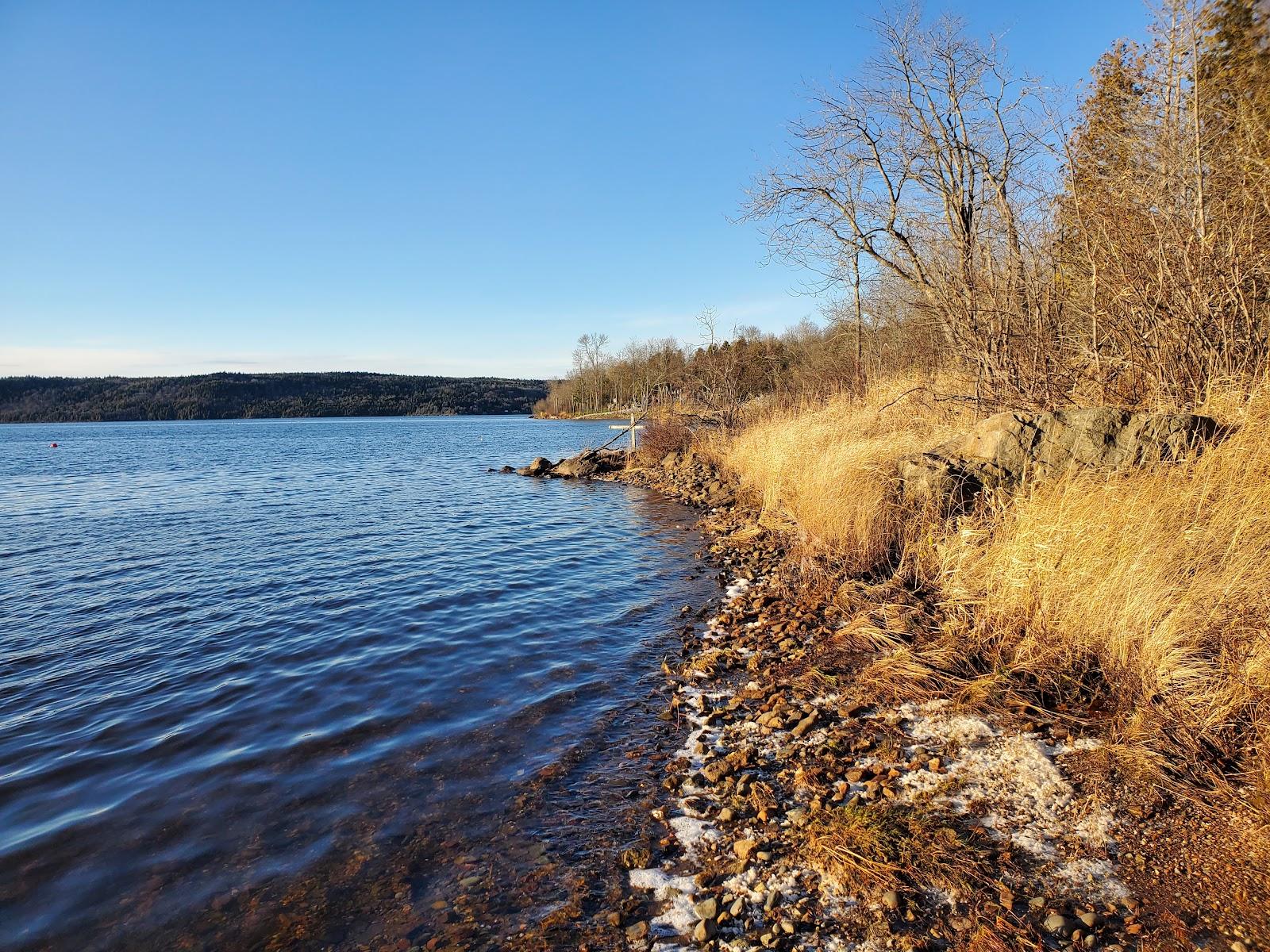 Sandee Meenan's Cove Beach Photo