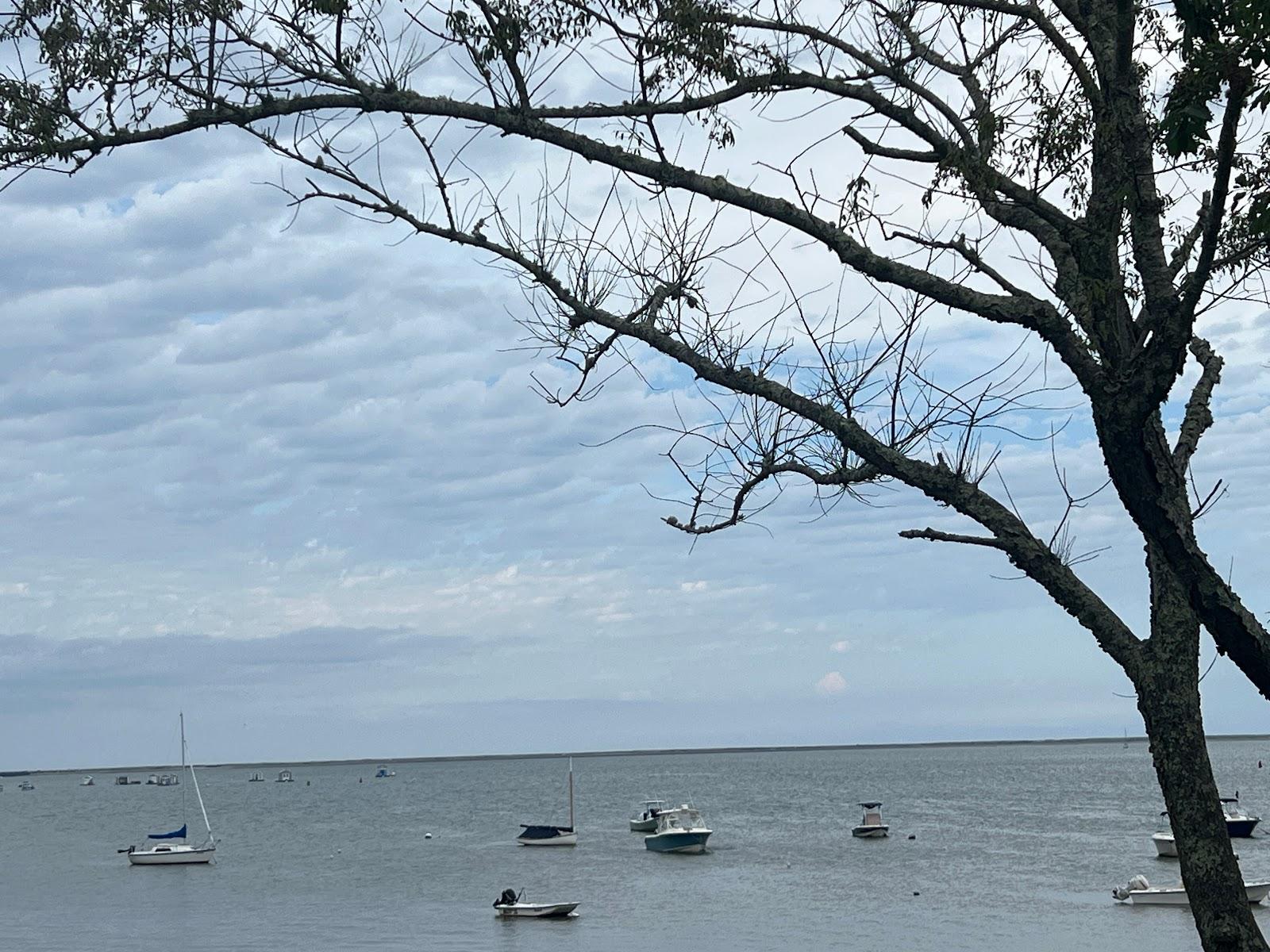 Sandee Shipyard Lane Beach Photo