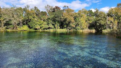 Sandee - Alexander Springs Recreation Area