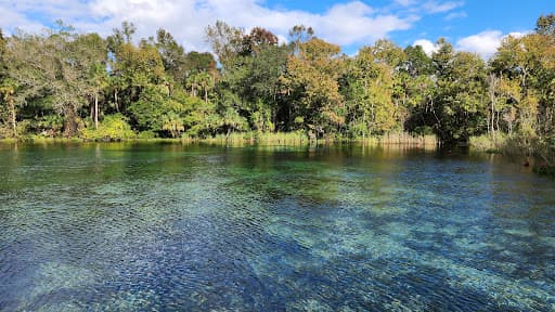 Sandee Alexander Springs Recreation Area Photo