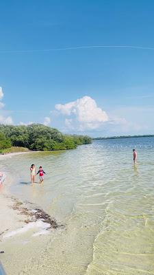 Sandee - Robert K. Rees Park Beach