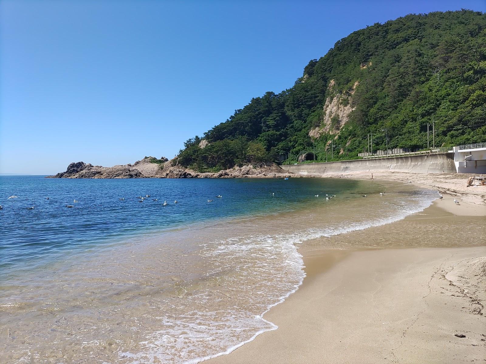 Sandee Sasagawa Beach Resort