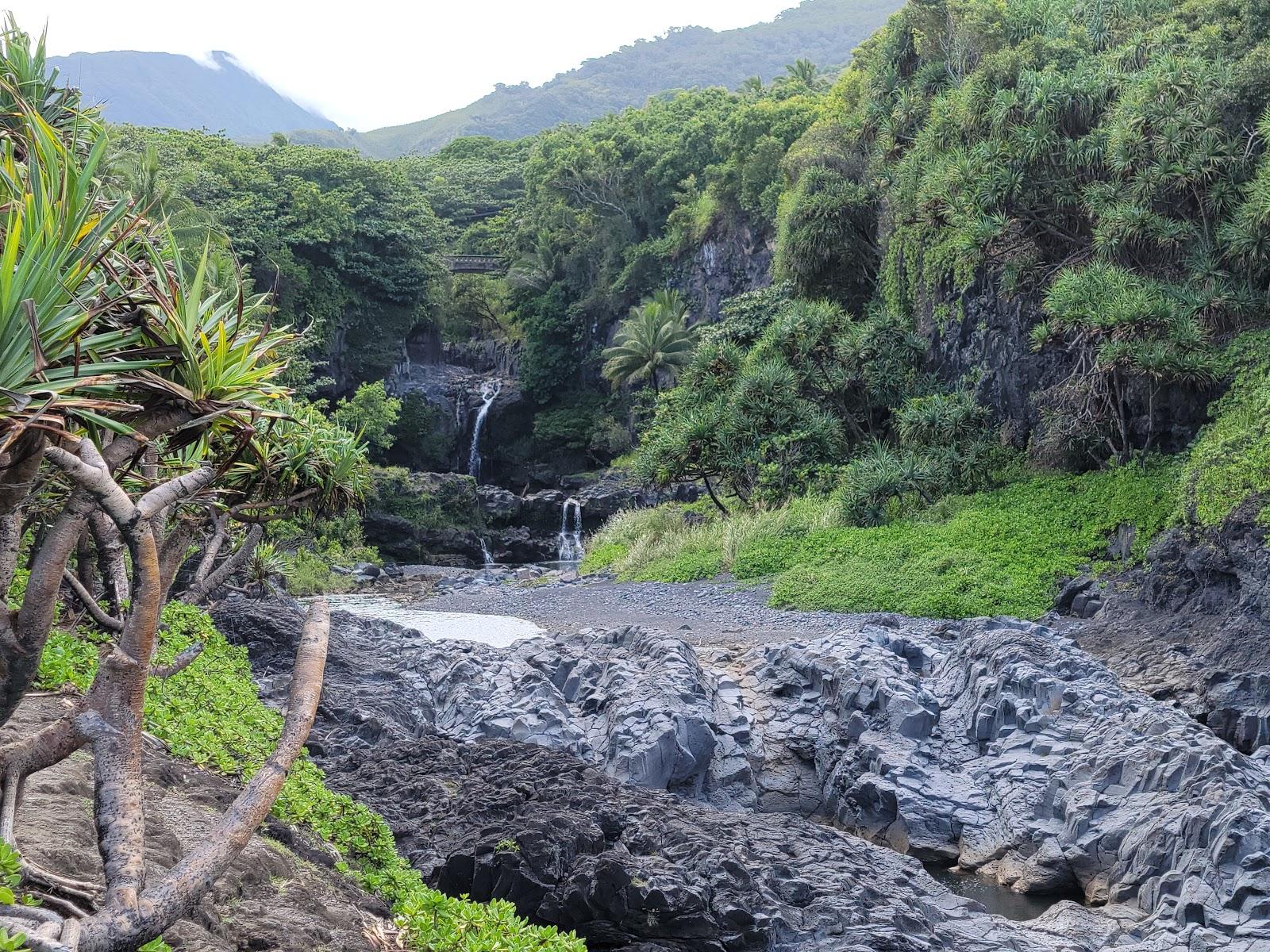 Sandee - Pepeiaolepo Bay