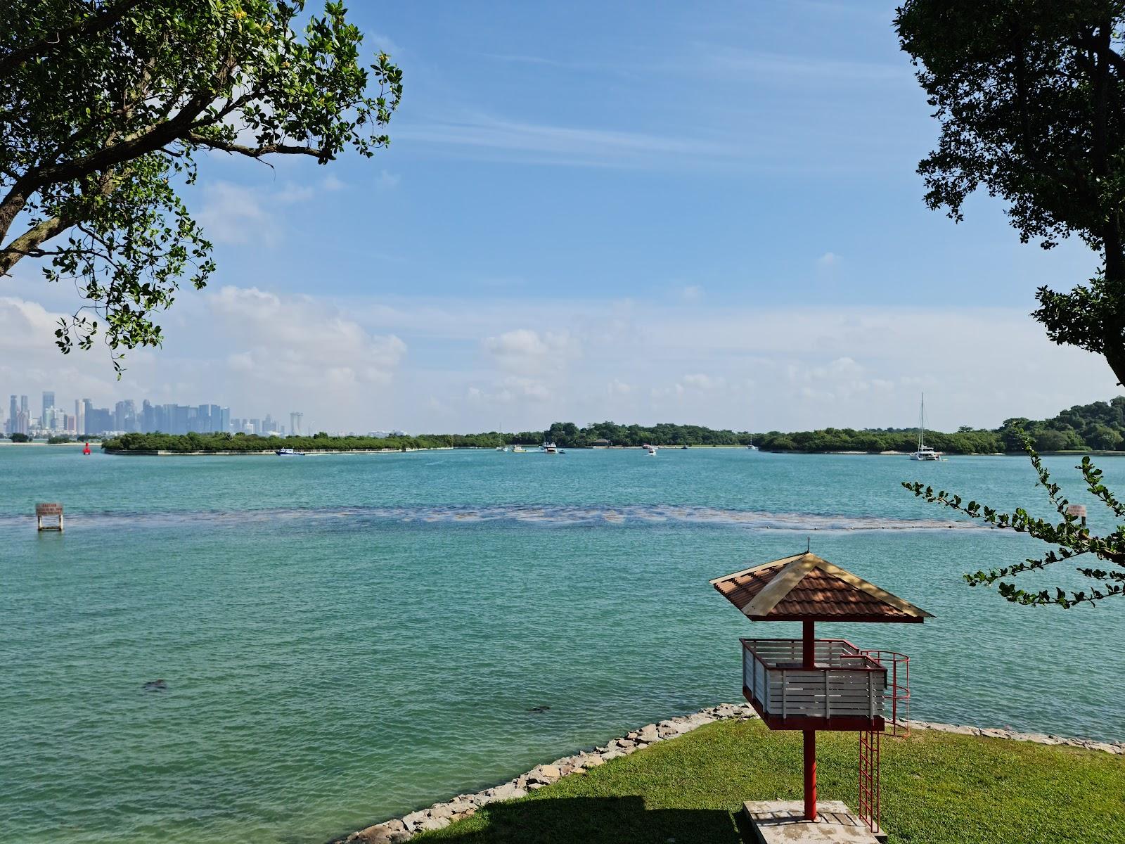 Sandee St John's Island Beach Photo