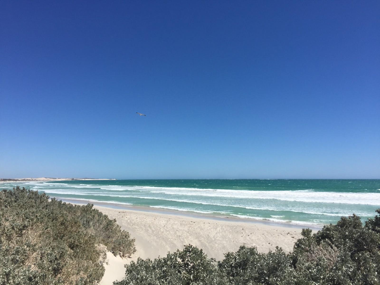 Sandee - Geraldton Back Beach