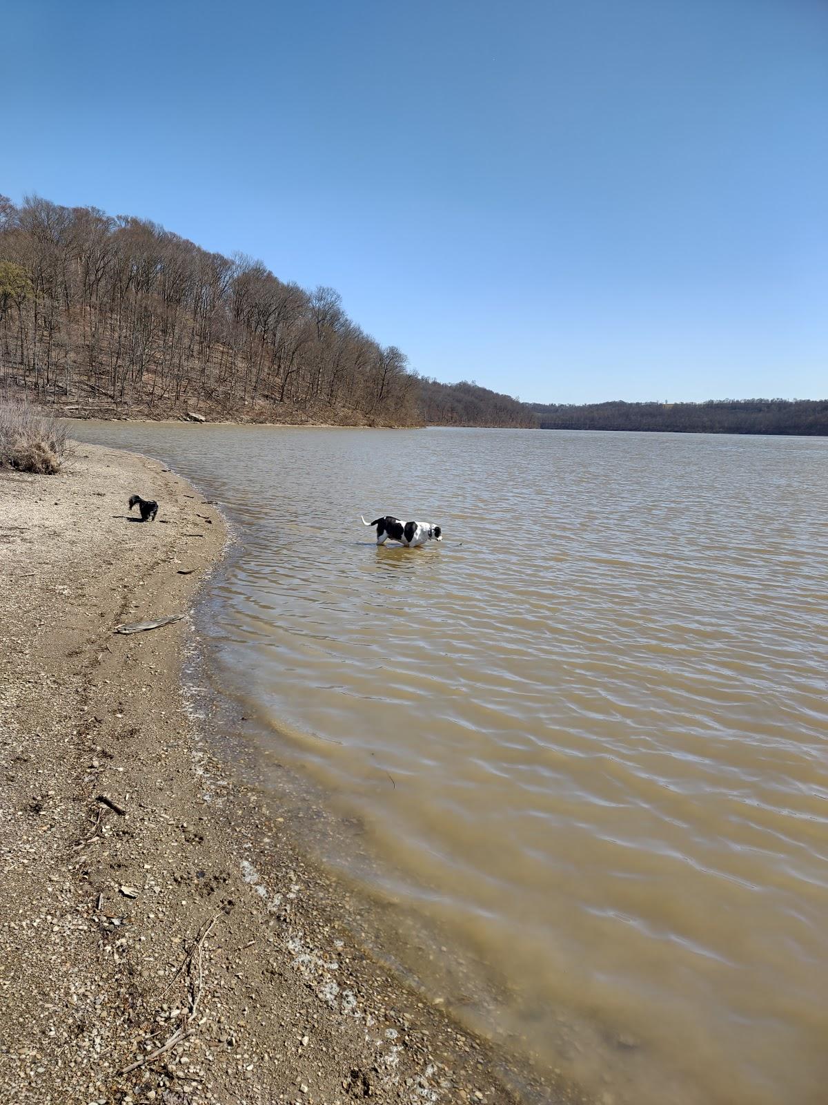 Sandee Dillon State Park Beach Photo