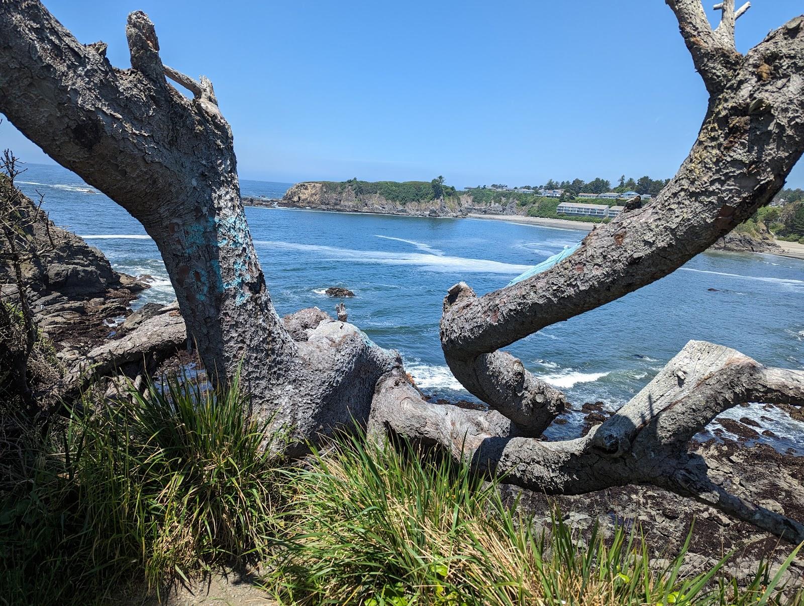 Sandee - Chetco Point Park