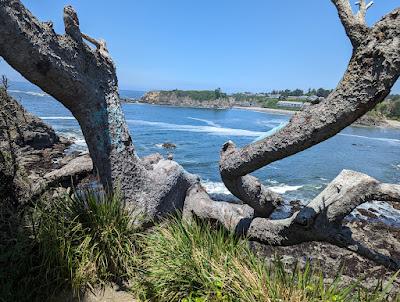 Sandee - Chetco Point Park