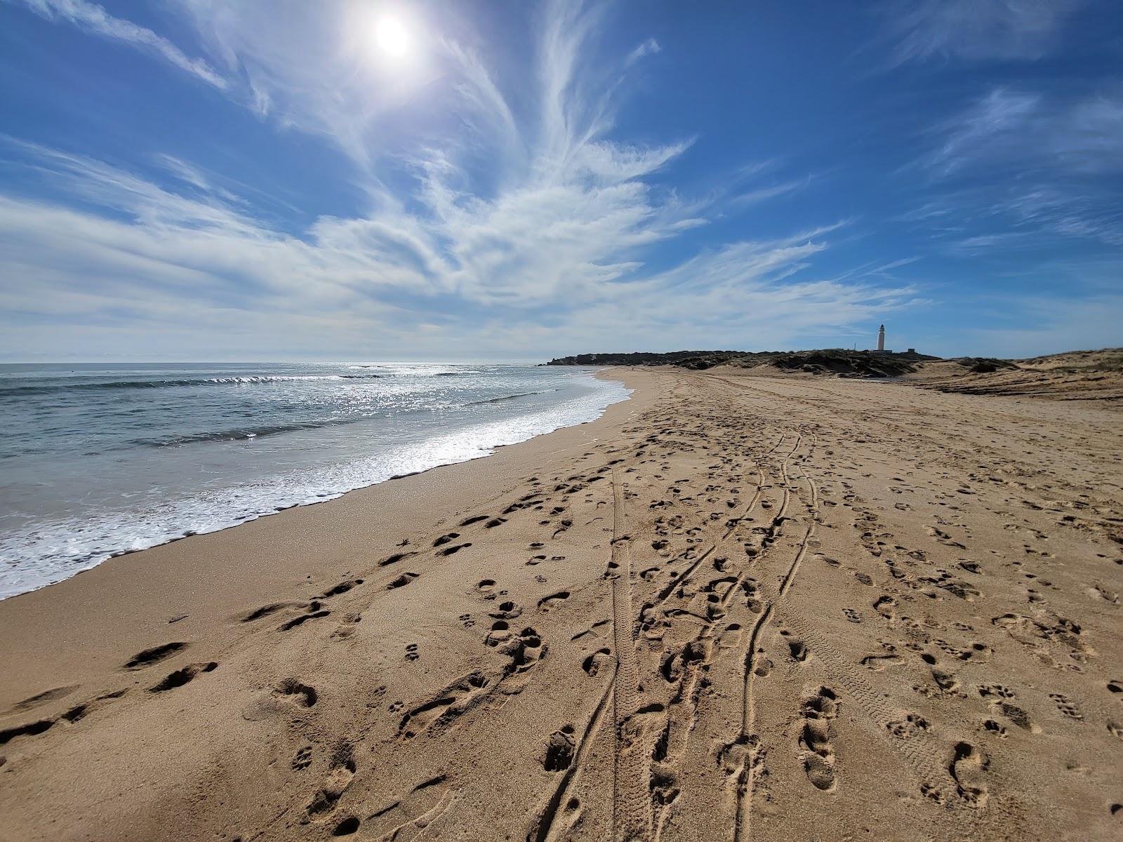 Sandee - Playa De Mari Sucia