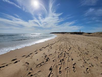 Sandee - Playa De Mari Sucia