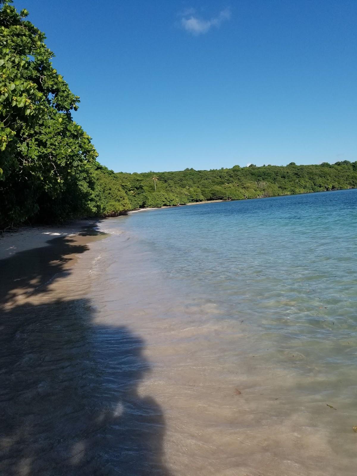 Sandee Petit Bacolet Bay