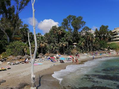 Sandee - Playa De La Viborilla