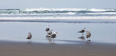 Sandee - Neakahnie-Manzanita State Park