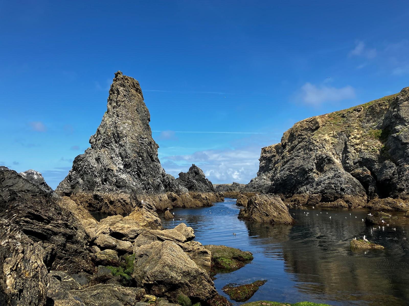 Sandee - Les Aiguilles De Port Coton