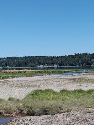 Sandee - Belfair State Park