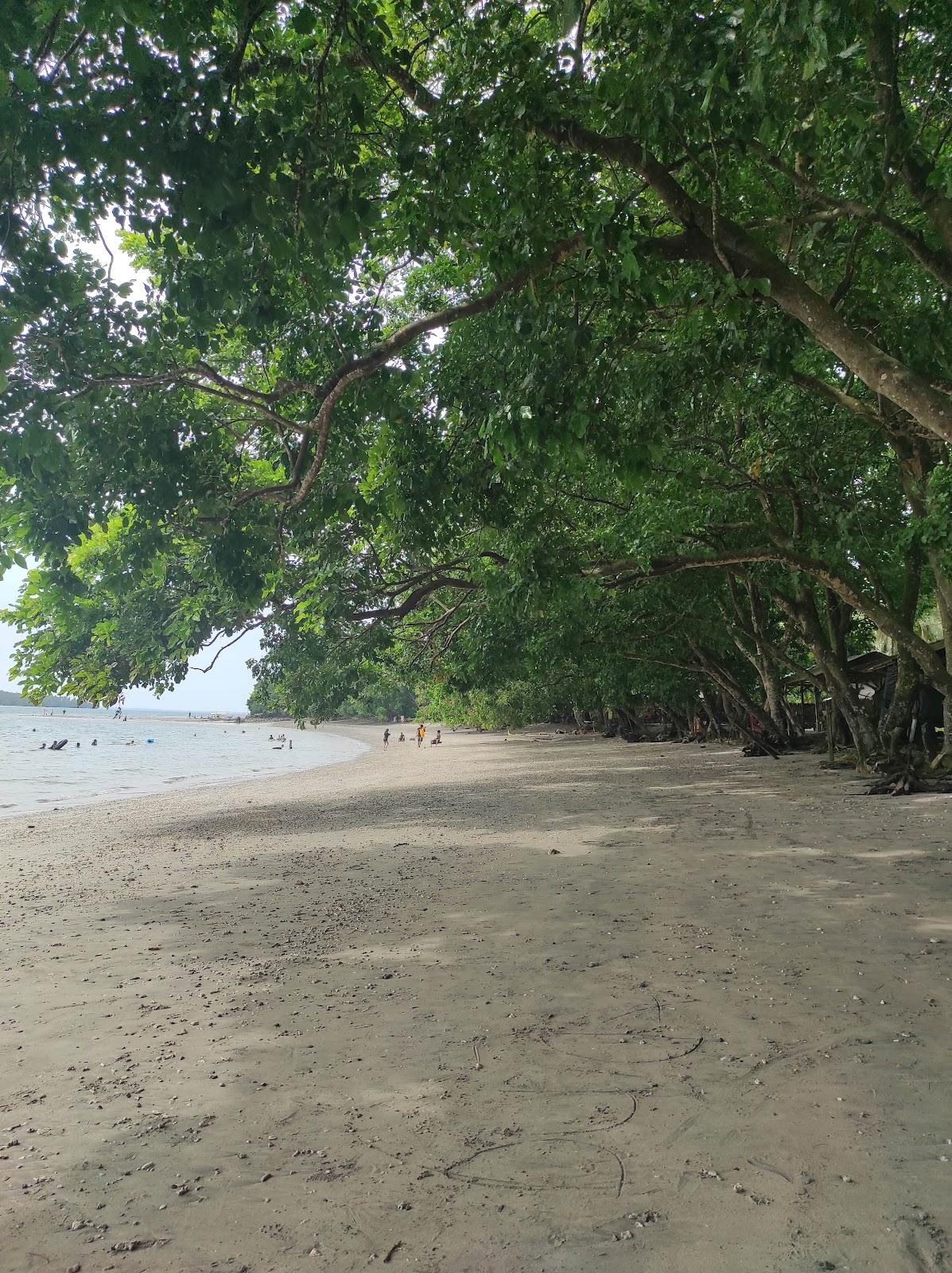 Sandee Idex Beach Resort