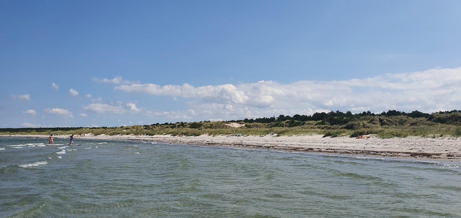 Sandee Stranden V/Lynghusvej
