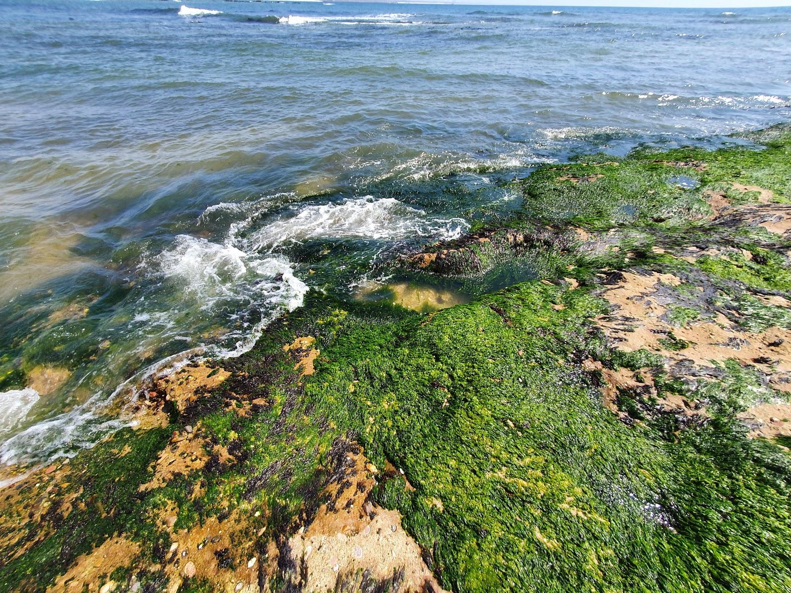 Sandee - Praia Da Tamargueira