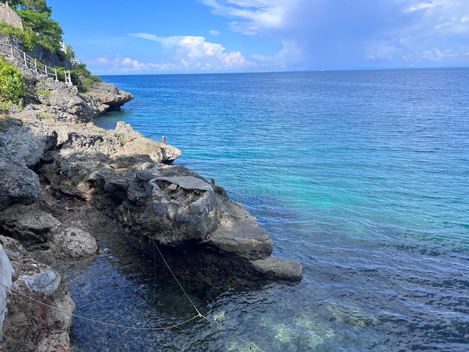 Sandee Sea Turtle Lagoon Photo