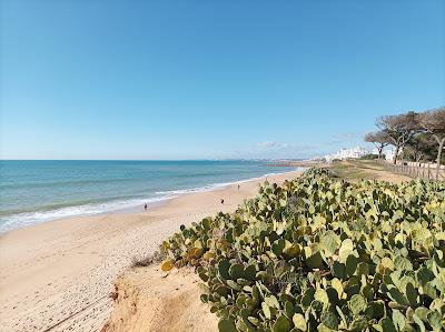 Sandee - Praia De Loule Velho