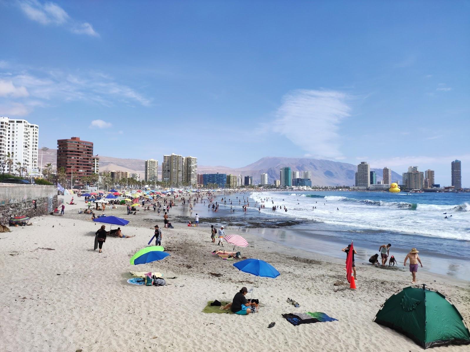 Sandee Playas En Iquique Photo