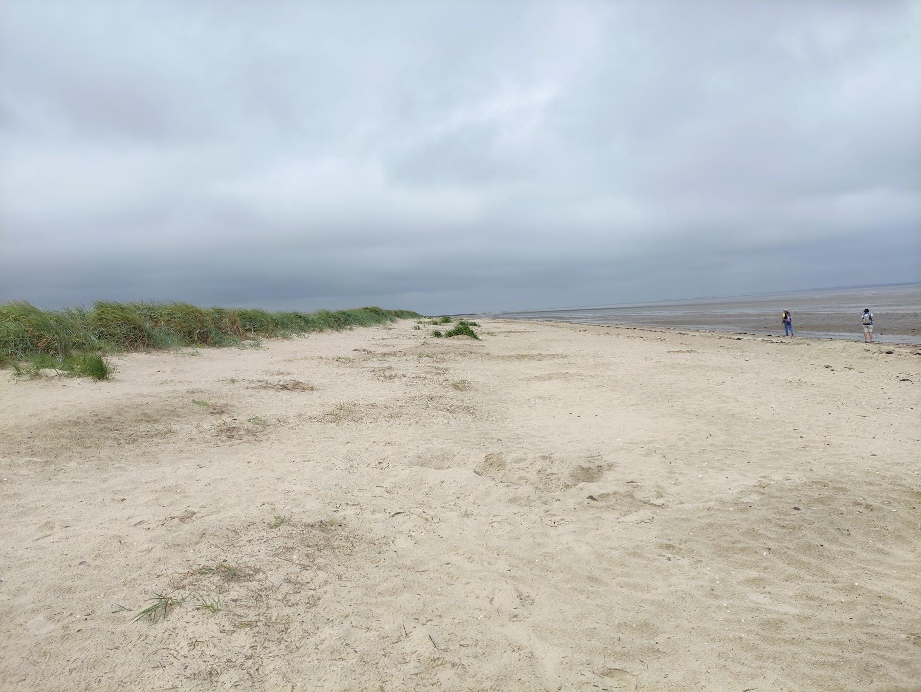 Sandee Naturstrand Schillig