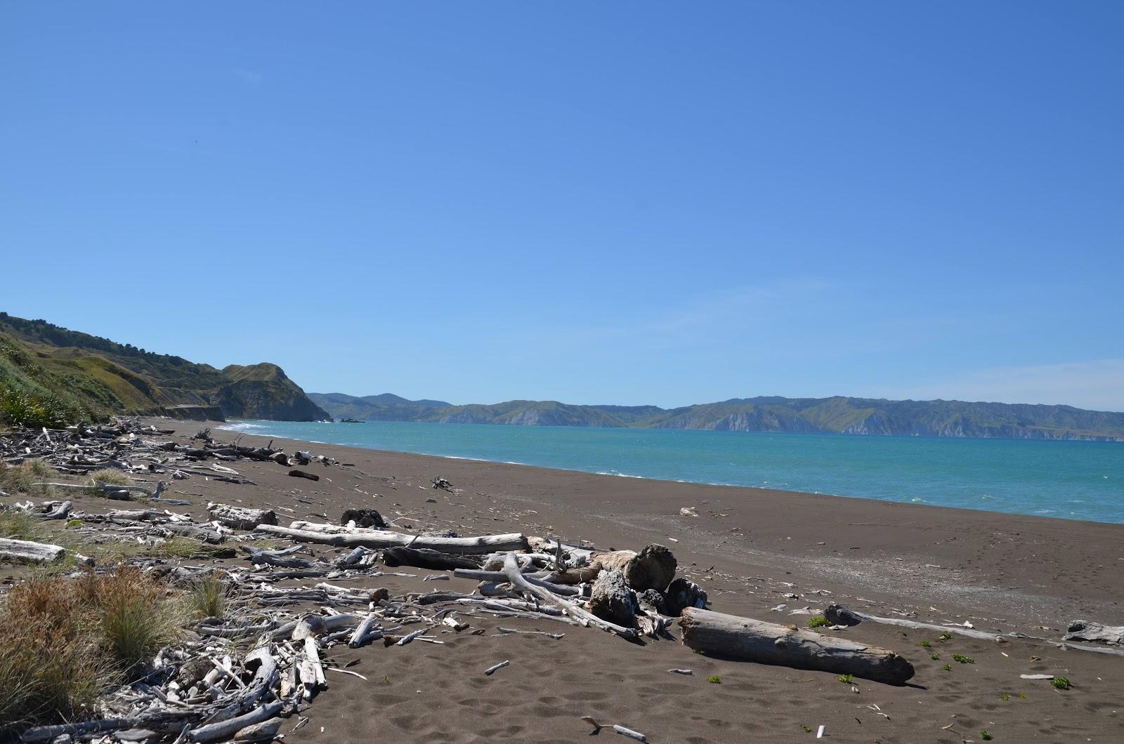 Sandee Whakaki Beach