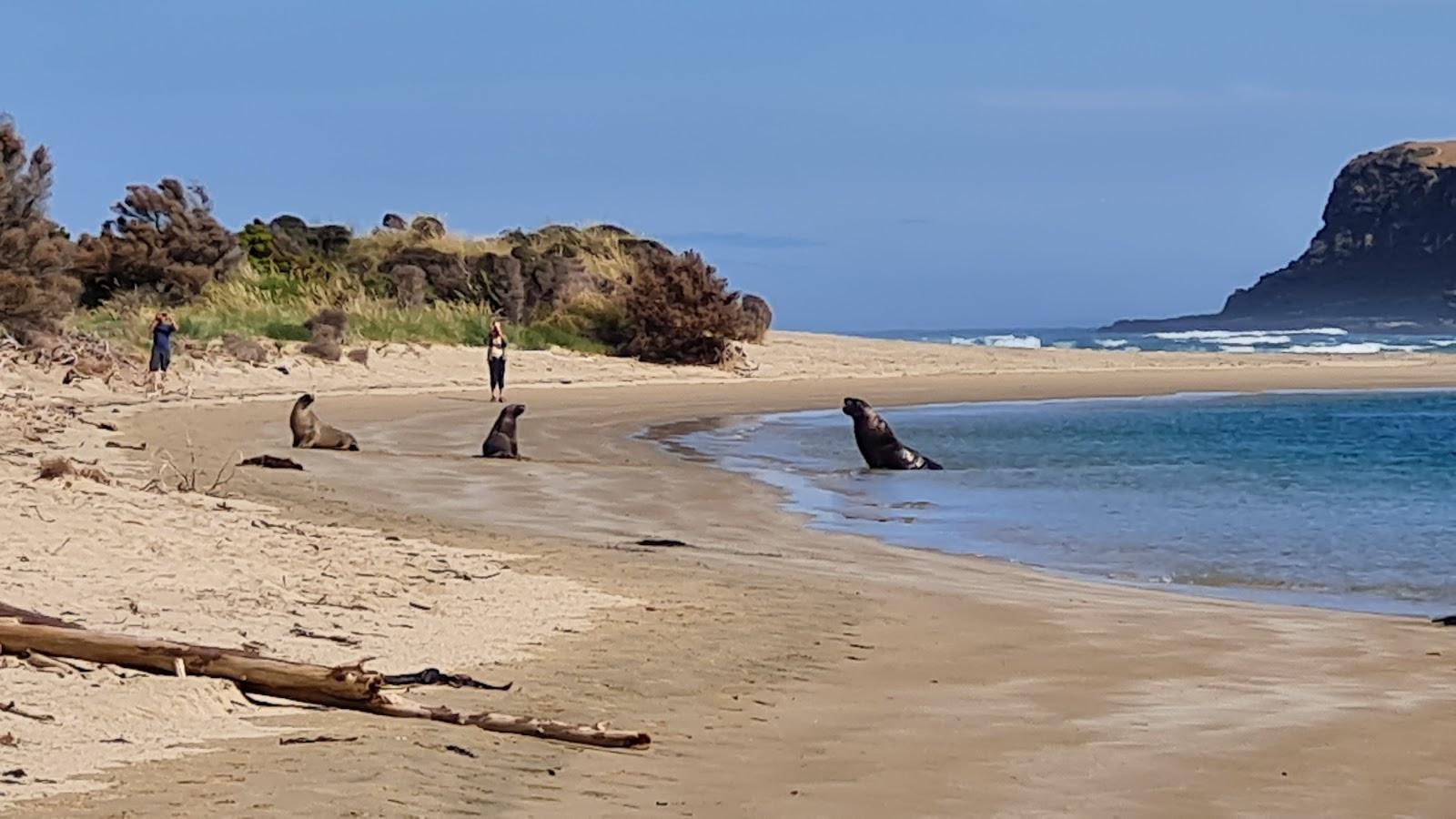 Sandee Cray Bay Beach