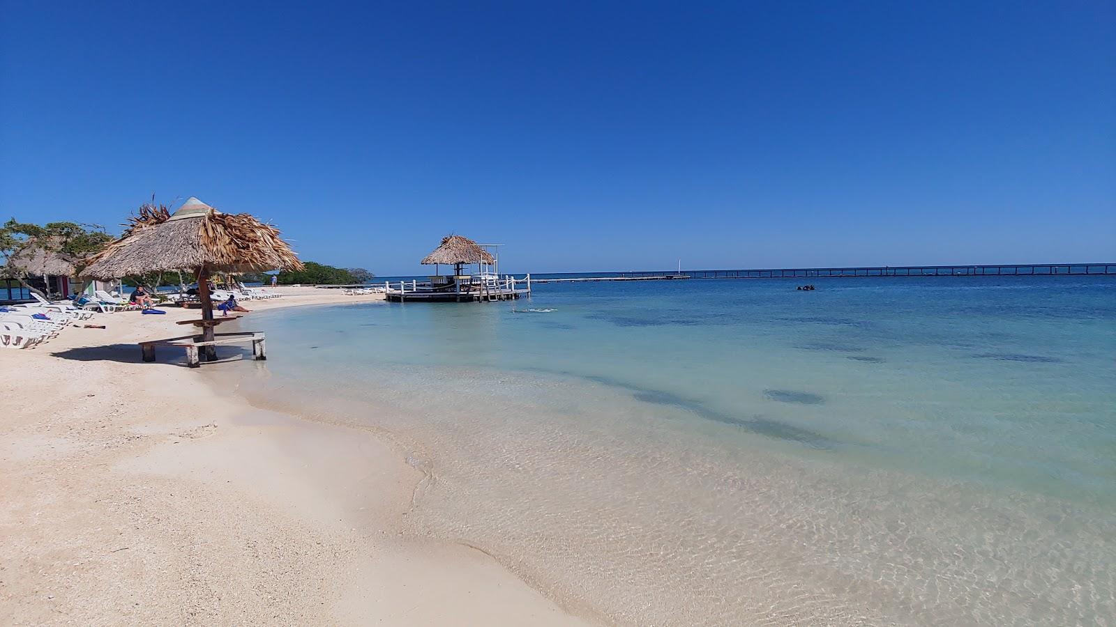 Sandee Bannister Caye