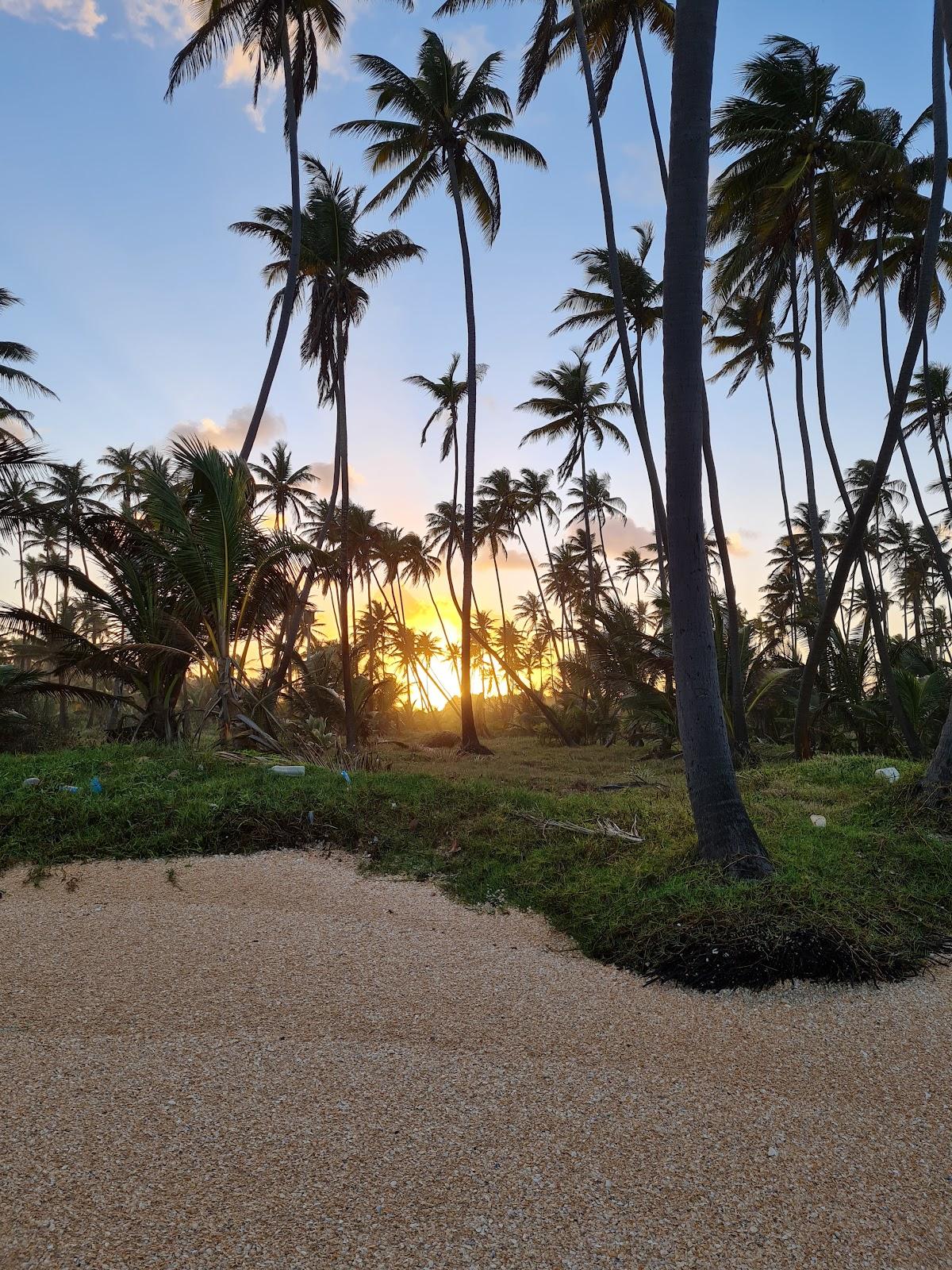 Sandee Shell's Beach