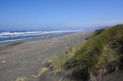 Sandee - Tolowa Dunes State Park