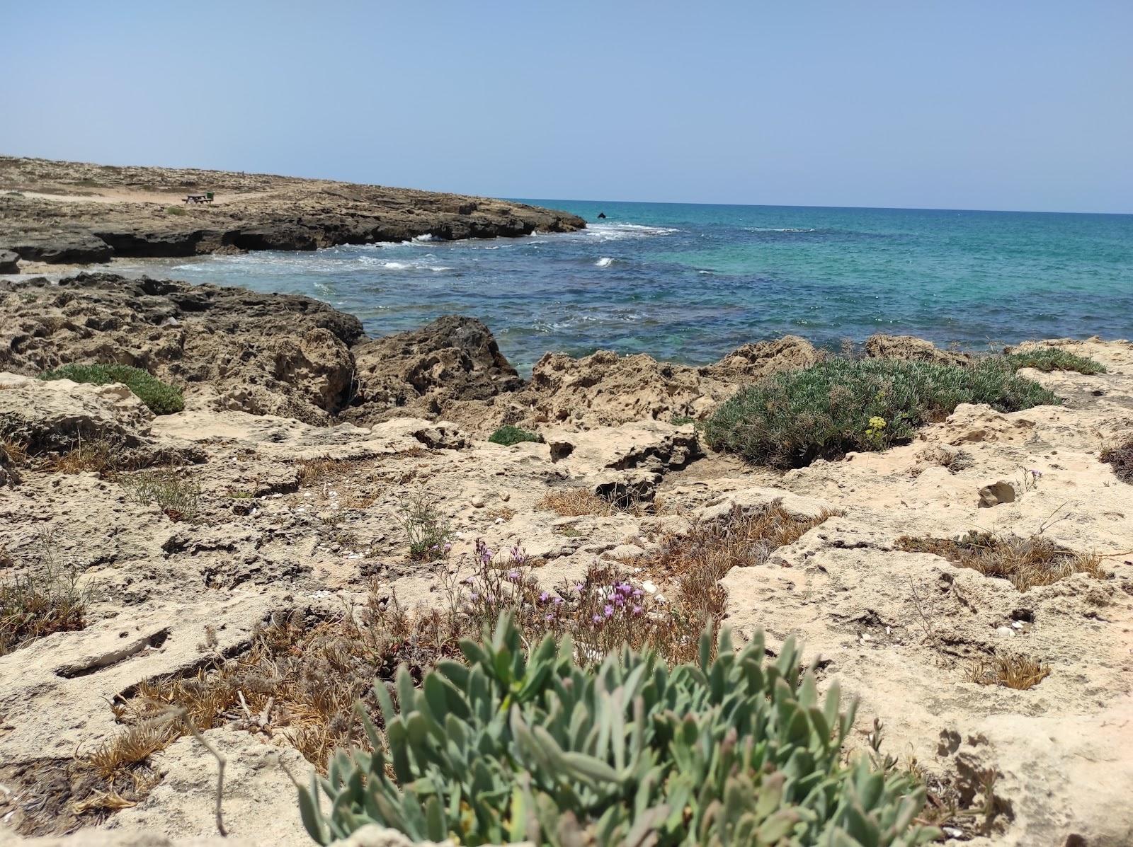 Sandee Aviv's Beach