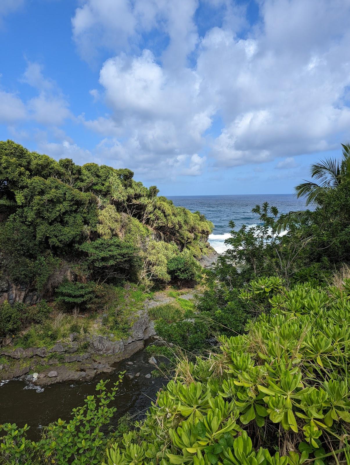 Sandee - Pepeiaolepo Bay