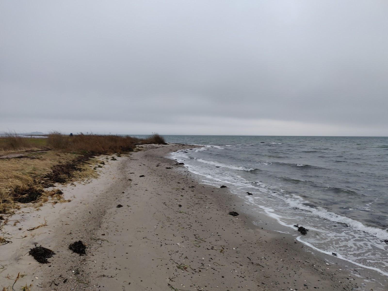 Sandee Ugelbølle Strand