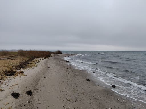 Sandee Ugelbølle Strand Photo