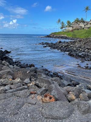 Sandee - Koloa Landing