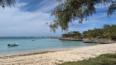 Sandee - Pointe Coton Beach